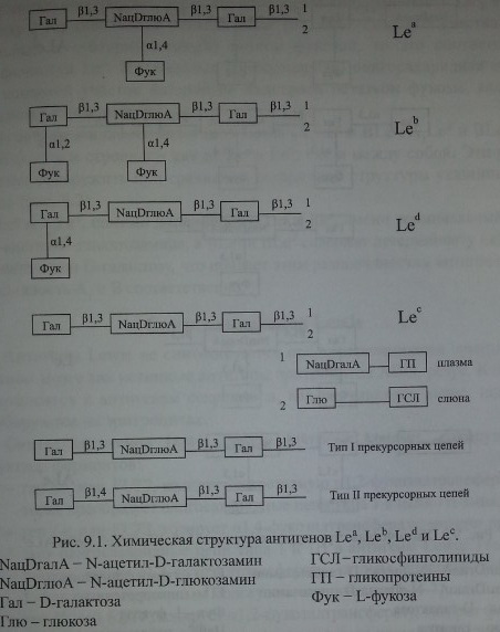 Химическая структура антигенов Lea, Leb, Led и Lec