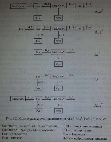 Химическая структура антигенов Lea, Leb, Led и Lec