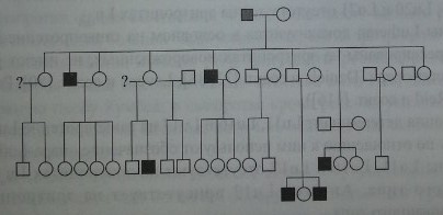 Х-сцепленное наследование Lu [101]. Темными фигурами обозначены лица Lu(a-b-), светлыми - Lu(a-b+). Все лица Lu ц - мужчины (XS2/Y), унаследовавшие ген XS2 от своих матерей, являющихся гетерозиготами XS2/XS1.