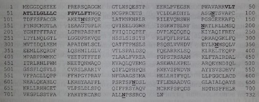 Аминокислотная последовательность Kell-протеина по Lee и соавт. [242,243 ]. Полужирным шрифтом выделен гидрофобный участок трансмембранного домена, полу¬жирным шрифтом с подчеркиванием - участки N-гликозилирования.