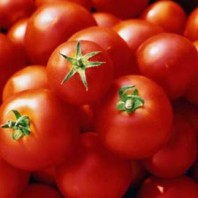 полезный красный томат